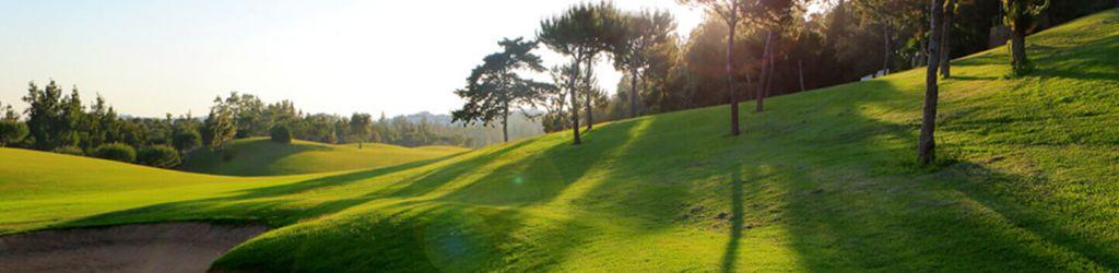 Chaparral Golf Club cover image