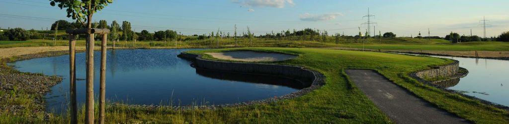 Golf Resort Black Bridge cover image