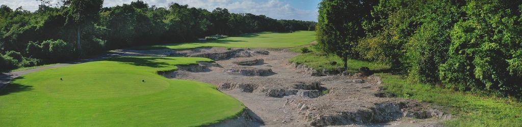 Hard Rock Golf Club at Cana Bay cover image