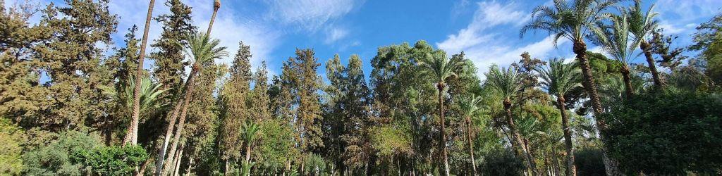 Royal Golf Marrakech Old Course cover image