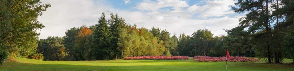 Tilgate Forest Golf Club cover image