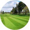 Image for Edzell Golf Club course