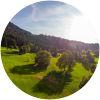 Image for Golfclub Oberstaufen-Steibis course