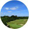 Image for New Forest Estate & Golf Club course