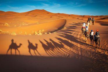 Golf course - Desert safari