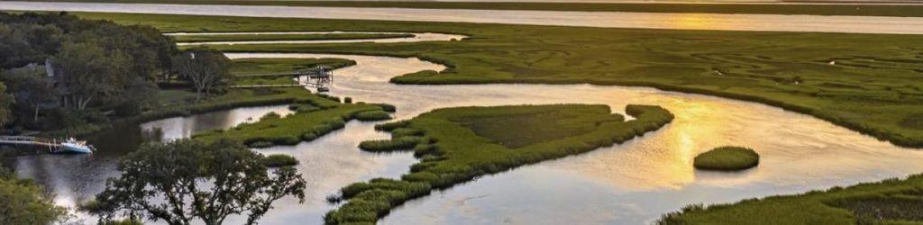 Oak Marsh cover image