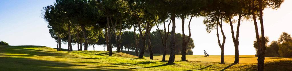 Añoreta Golf cover image