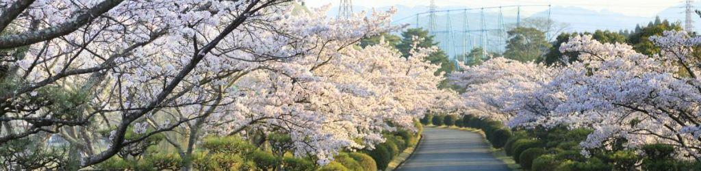 Arima Country Club cover image