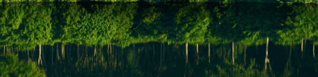 Blue Canyon Country Club - Lakes course cover image