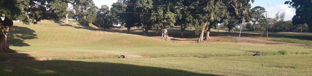 Brechin Golf Club cover image