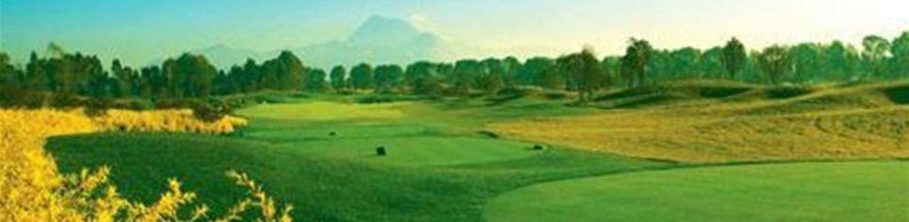 CITIC Ka Lizhe Championship field cover image