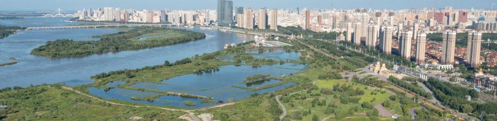 CITIC Ka Lizhe Wetland Field cover image