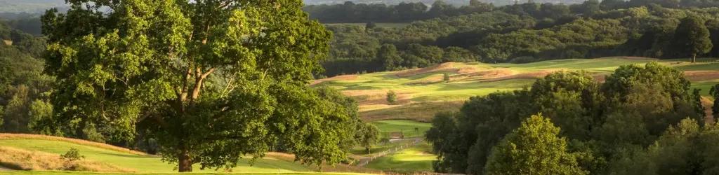 Dale Hill - The Dale Hill Course cover image