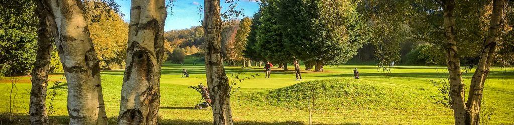 Downes Crediton Golf Club cover image