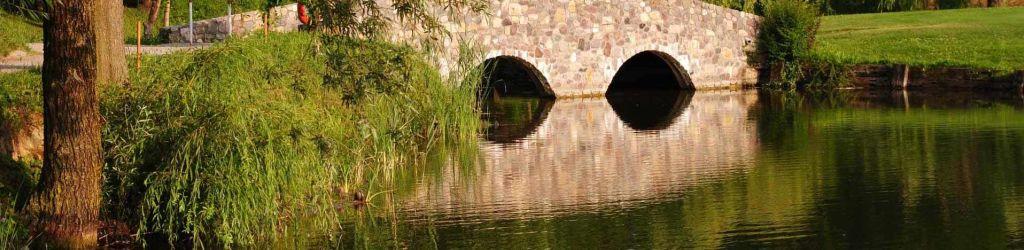 Franciacorta Rose-Brut cover image