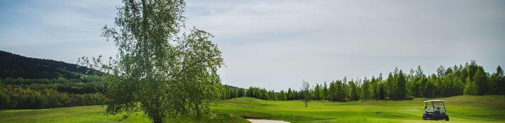 Golf Club Sokolov cover image