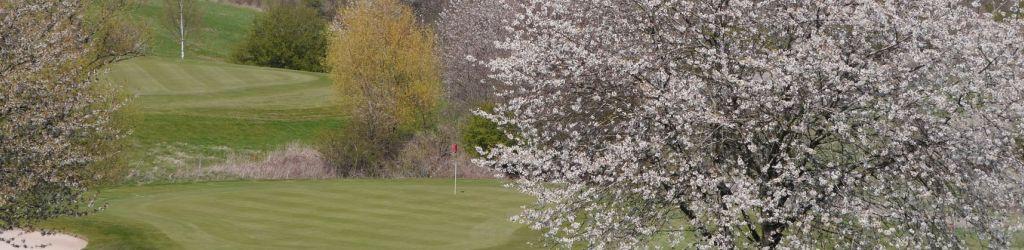 Golfclub Cochem - Eifel (Executive) cover image