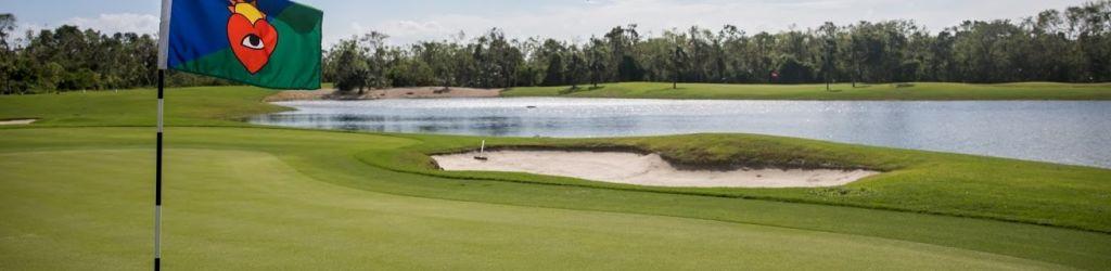 Gran Coyote Golf cover image