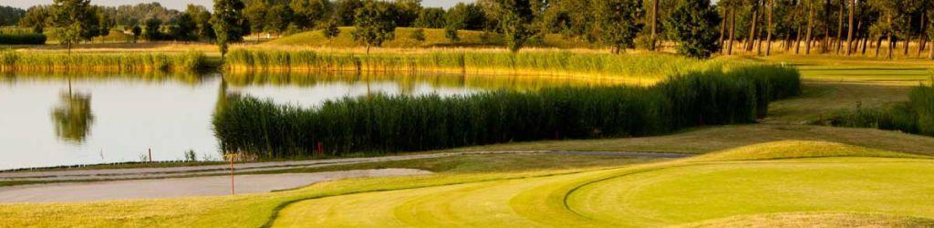 Greenfield Hotel Golf & Spa (Birdland) cover image