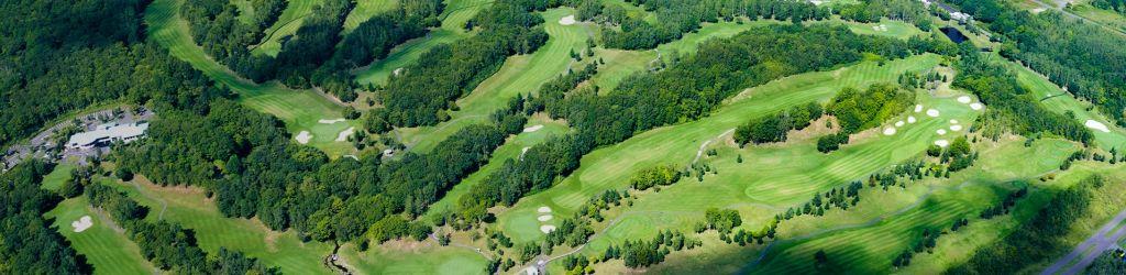 HANAZONO GOLF cover image