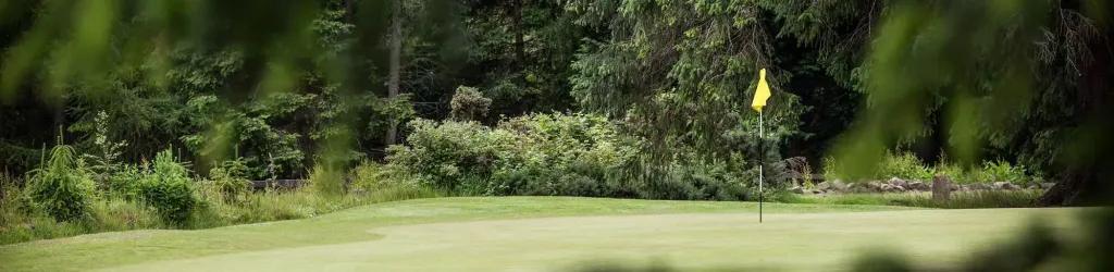 Hazlehead Pines Golf Course cover image