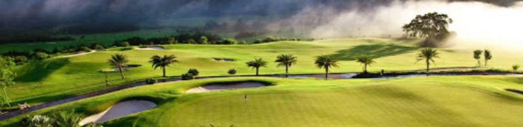 Jinyang Manor Golf cover image