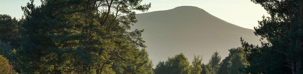 Ladybank Golf Club cover image