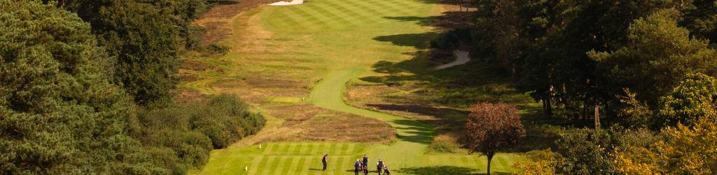 Liphook Golf Club cover image