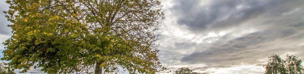 Mendip Spring Golf Club - Lakeside Course cover image