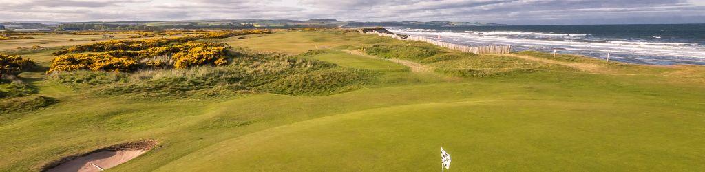 Montrose Golf Links - Broomfield cover image