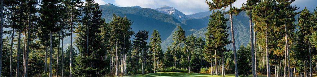 Pirin Golf And Country Club - Ian Woosnam + Pine cover image