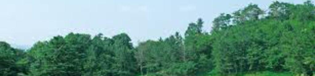 Seta Golf Course East cover image