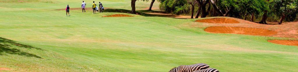 Sigona Golf club cover image