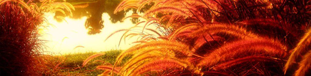 Summit Green Valley Chiangmai Country Club cover image