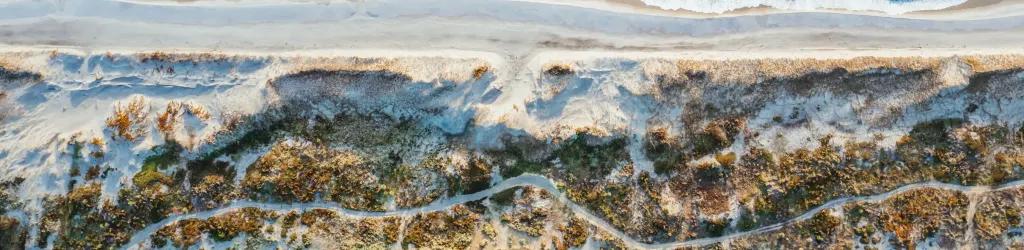 Te Arai Links South cover image