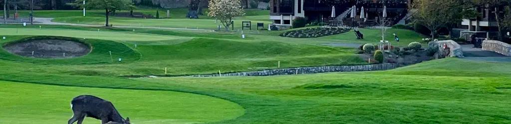 The Grange Golf Club cover image