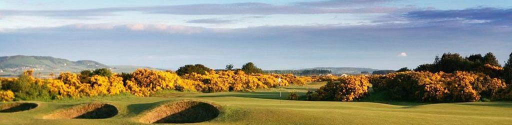 The New Course - St Andrews Links cover image