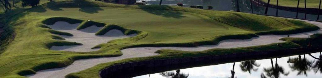 The Vintage Club cover image