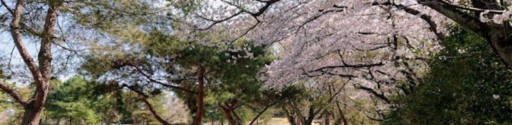 Tsukuba-Tokyu Golf Club cover image