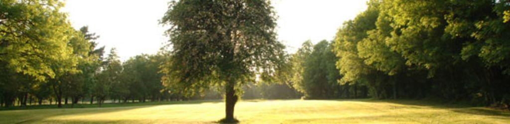 Tuam Golf Club cover image