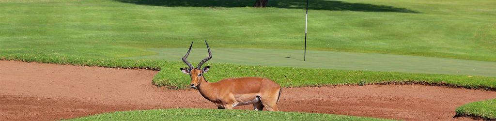 Zebula Golf Estate & Spa cover image