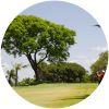 Image for Club de Golf del Uruguay course