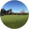 Image for Golf Arboretum course