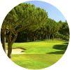 Image for Pinheiros Altos Golf Pines course