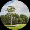 Image for Queen's Harbour Yacht & Country Club course