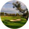 Image for Ribagolfe Oaks course