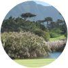 Image for Royal Cape Golf Club course