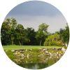 Image for Royal Ratchaburi Golf Club course