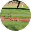 Image for Zebula Golf Estate & Spa course