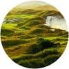 Image for Barnbougle Dunes Golf Links - the Dunes course